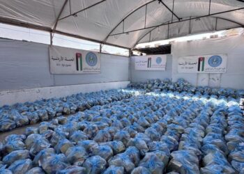الحملة الأردنية توزّع 700 طرد غذائي استجابةً لمناشدات نازحين في غزة