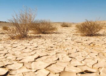 الأردن يمر بحالة جفاف الأصعب من نوعها منذ سنوات طويلة