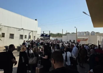 الأمن العام: إعادة إيقاف حركة المسافرين عبر جسر الملك حسين من الجانب الآخر