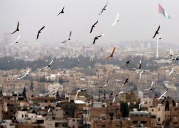 انخفاض ملحوظ على درجات الحرارة في الأردن منتصف الأسبوع المقبل