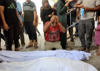 9 وفيات بينها 3 أطفال نتيجة التجويع في غزة خلال الـ24 ساعة الماضية