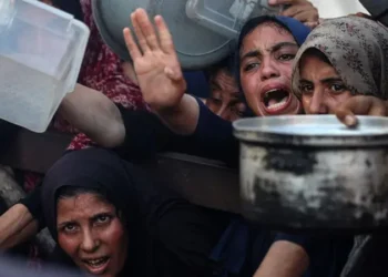 6 وفيات نتيجة التجويع في غزة خلال الساعات الـ24 الماضية