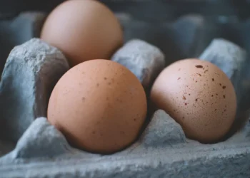 دراسة تكشف الأفضل للصحة.. البيض البني أم الأبيض؟