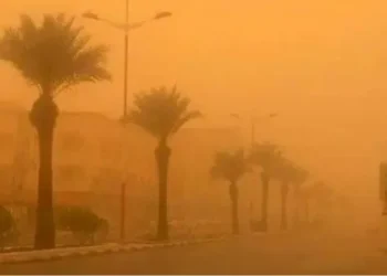 محافظ العقبة: الغبار سبب ضيق التنفس لحالات راجعت العيادات الطبية