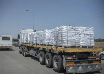 173 شاحنة مساعدات دخلت إلى قطاع غزة الأحد