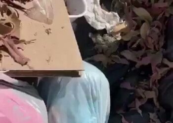العثور على طفلين حديثي الولادة في العاصمة عمان
