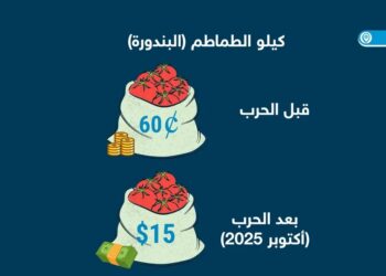 الأونروا: الفلسطينيون في غزة عاجزون عن تحمل تكاليف الطعام بعد الحرب