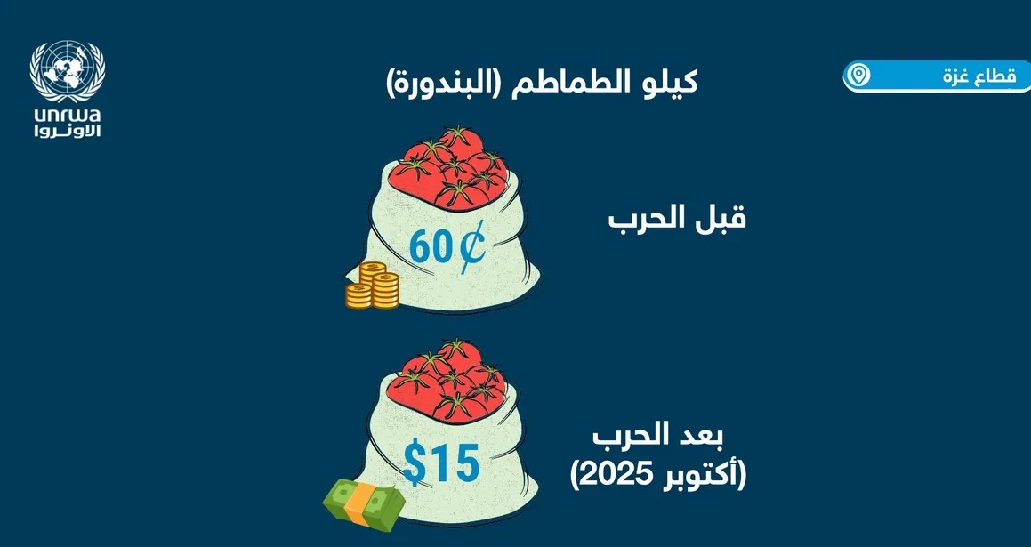الأونروا: الفلسطينيون في غزة عاجزون عن تحمل تكاليف الطعام بعد الحرب