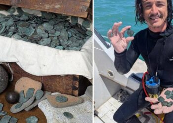 العثور على كنز بقيمة مليون دولار في فلوريدا