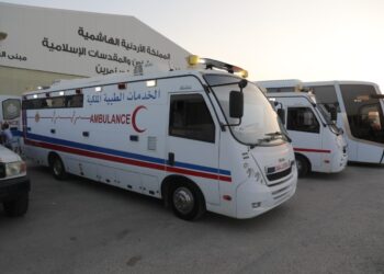 القوات المسلحة تجلي الدفعة الثالثة عشر من أطفال غزة المرضى للعلاج في الأردن