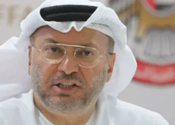 قرقاش: التطبيع مع إسرائيل منحت الإمارات نفوذاً مؤثراً في هذه القضية