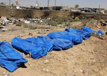 سراديب بعمق 40 متراً.. سجن سري تحت أرض زراعية في حمص