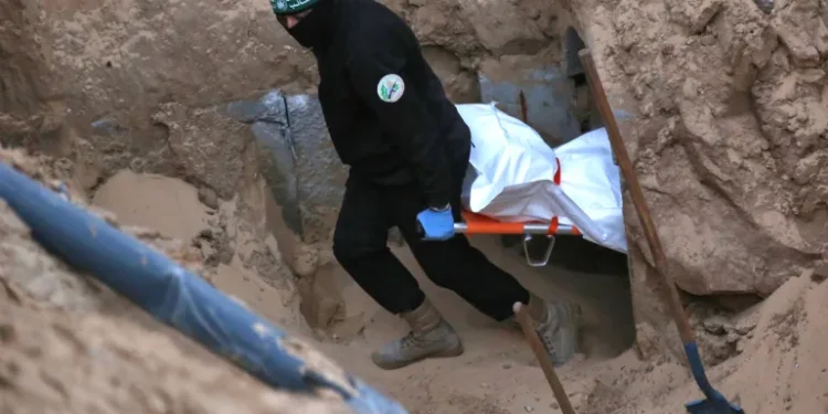 الاحتلال يتسلم جثتي أسيرين من القسام في غزة