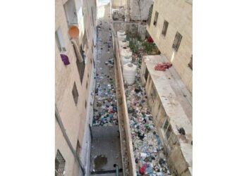 إربد.. قطع المياه عن بناية خالفت شروط النظافة وتحويل المخالفين للحاكم الإداري