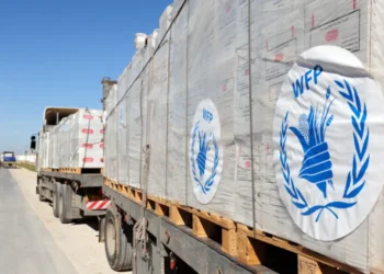 الأغذية العالمي: لدينا غذاء لإطعام غزة شريطة صمود وقف النار