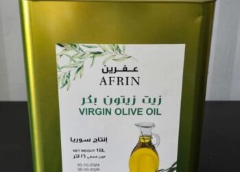 هذا سعر تنكة زيت الزيتون في سوريا لهذا الموسم