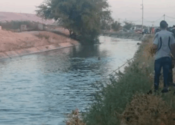 العمل النيابية تخاطب وزير المياه بشأن تكرار حوادث الغرق في قناة الملك عبدالله