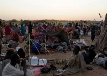 الدعم السريع: الفاشر ستكون تحت إدارة حاكم إقليم دارفور