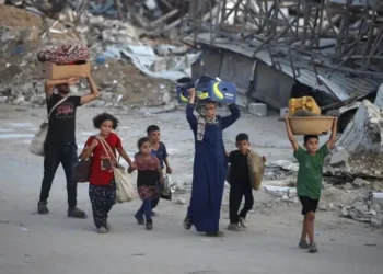تهجير منظم .. رحلة غامضة من غزة تشعل غضب المنصات