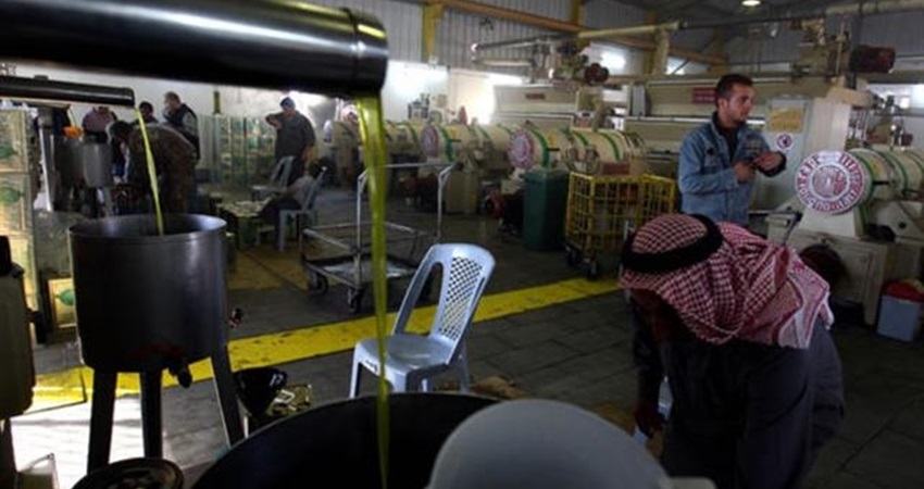 تنفيذ جولات رقابية ميدانية على معاصر الزيتون في الردن