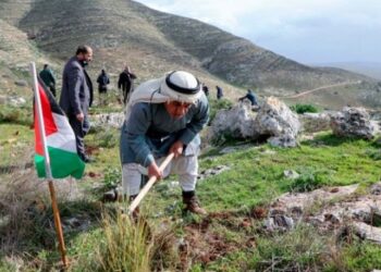 قرار أممي يؤكد سيادة الشعب الفلسطيني على موارده الطبيعية