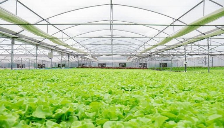 وزير الزراعة المصري: الأردن أحدث طفرة زراعية في ظل ندرة المياه