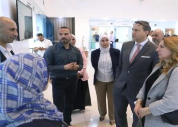 نمروقة: سعي لتوسيع مظلّة البوابات الإلكترونية في البعثات الأردنية في الخارج