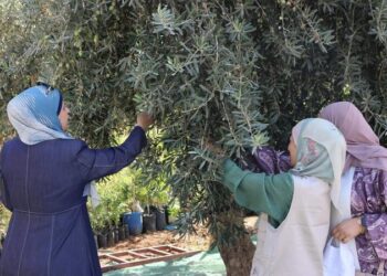 زراعة جرش تحتفي بيوم القطاف الوطني