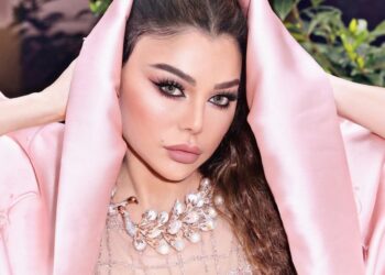 الحنيطي يسأل الحكومة: لماذا أُعفي حفل هيفاء وهبي من الضرائب؟