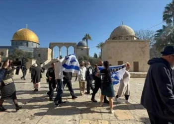 مستوطنون يقتحمون الأقصى والاحتلال يهدم منشآت تجارية بالقدس والخليل