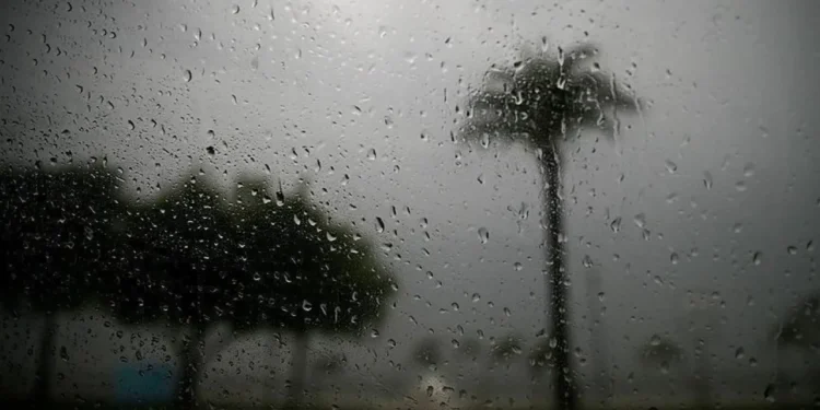 الأرصاد الجوية: الأردن قد يشهد حالة مطرية نهاية الأسبوع المقبل