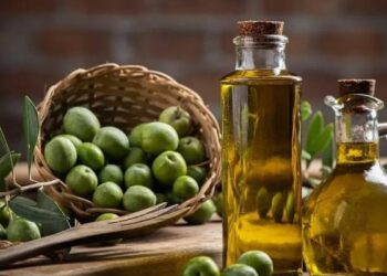 وزارة الزراعة تعلن استقبال طلبات استيراد زيت الزيتون لتعويض انخفاض الإنتاج المحلي