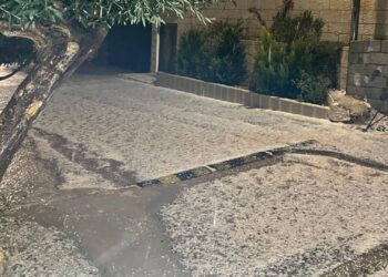 أمطار رعدية في الطفيلة وتساقط للبرد في محافظة عجلون