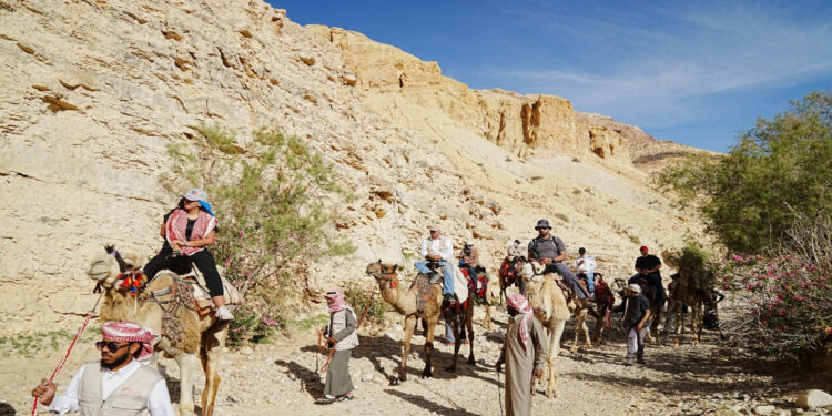 إقليم البترا : 81 ألف زائر في تشرين الأول بزيادة نسبتها 71% مقارنة بالعام الماضي