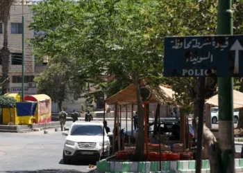 مصدر رسمي: لا زيارة اليوم لوفد من محافظة السويداء إلى المملكة
