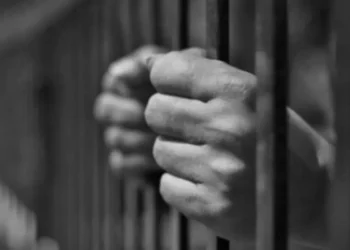 55969 مطلوبا للتنفيذ القضائي في الأردن… و23 ألفا بقضايا حبس مدين