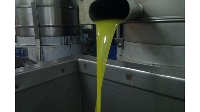 البحث الجنائي يضبط 100 تنكة زيت زيتون مغشوش بمعصرة في إربد