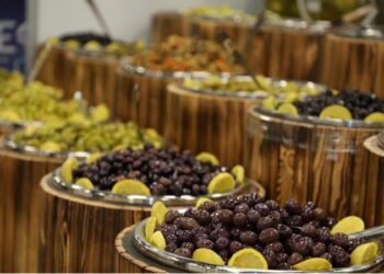 افتتاح مهرجان الزيتون الوطني الـ25 بحضور رسمي ودولي واسع