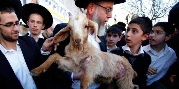 الأردن يدين إدخال المتطرفين قرابين لباحات المسجد الأقصى المبارك