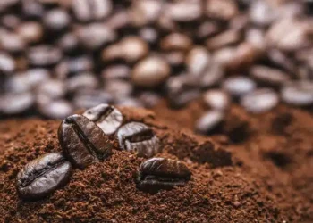 قفزة في فاتورة استيراد الأغذية العالمية تقودها أسعار البن والكاكا