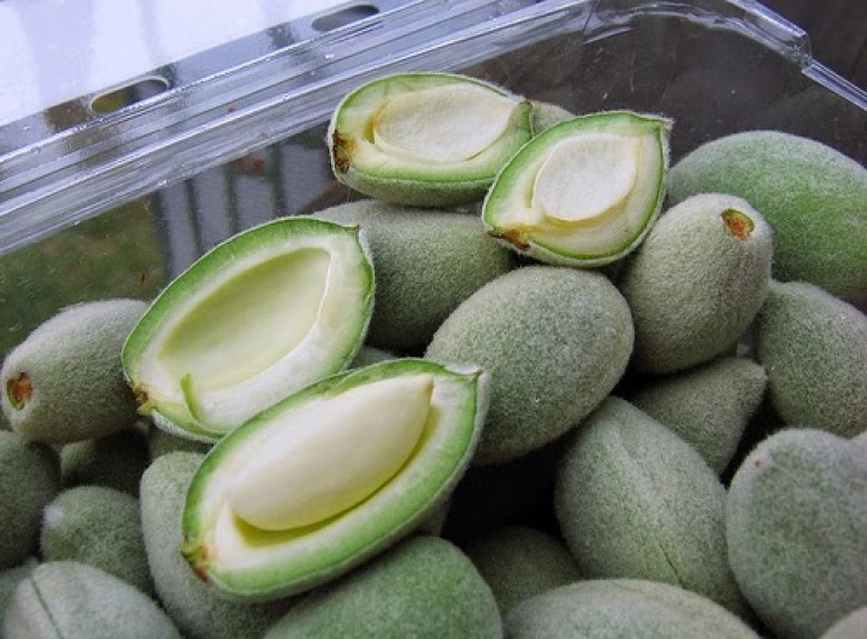 وزير الزراعة: الموسم المطري الحالي يرفع جاهزية المحاصيل