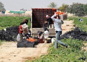 صدور قرارات تسفير بحق 5707 عمال غير أردنيين حتى نهاية الشهر الماضي