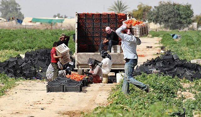 صدور قرارات تسفير بحق 5707 عمال غير أردنيين حتى نهاية الشهر الماضي