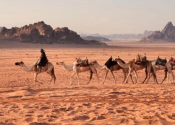 تشكيل لجنة تنسيق وتطوير القطاع السياحي في منطقة وادي رم