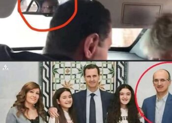 من هو أمجد عيسى الذي شارك الأسد والشبل حفلة السخرية