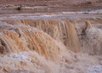 الزراعة: الهطل المطري بالأردن مبشّر حتى الآن مقارنة بالموسم الماضي