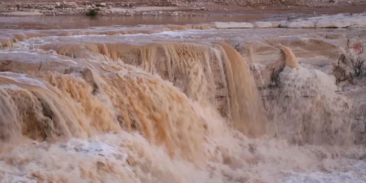الزراعة: الهطل المطري بالأردن مبشّر حتى الآن مقارنة بالموسم الماضي