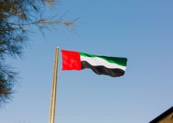 الإمارات: الشحنة التي رست في اليمن لم تكن تحمل أسلحة وغير موجهة لأي جهة يمنية