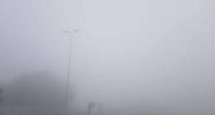 الأرصاد: مدى الرؤية في رأس منيف أقل من 100 متر بسبب الضباب