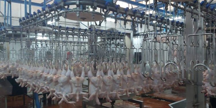 طرح مشروع مسلخ عمّان الجديد للاستثمار